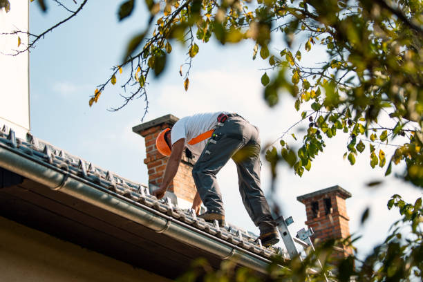 Best Flat Roof Repair Services  in Winner, SD