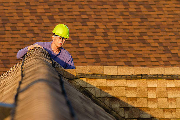 Best Shingle Roofing Installation  in Winner, SD